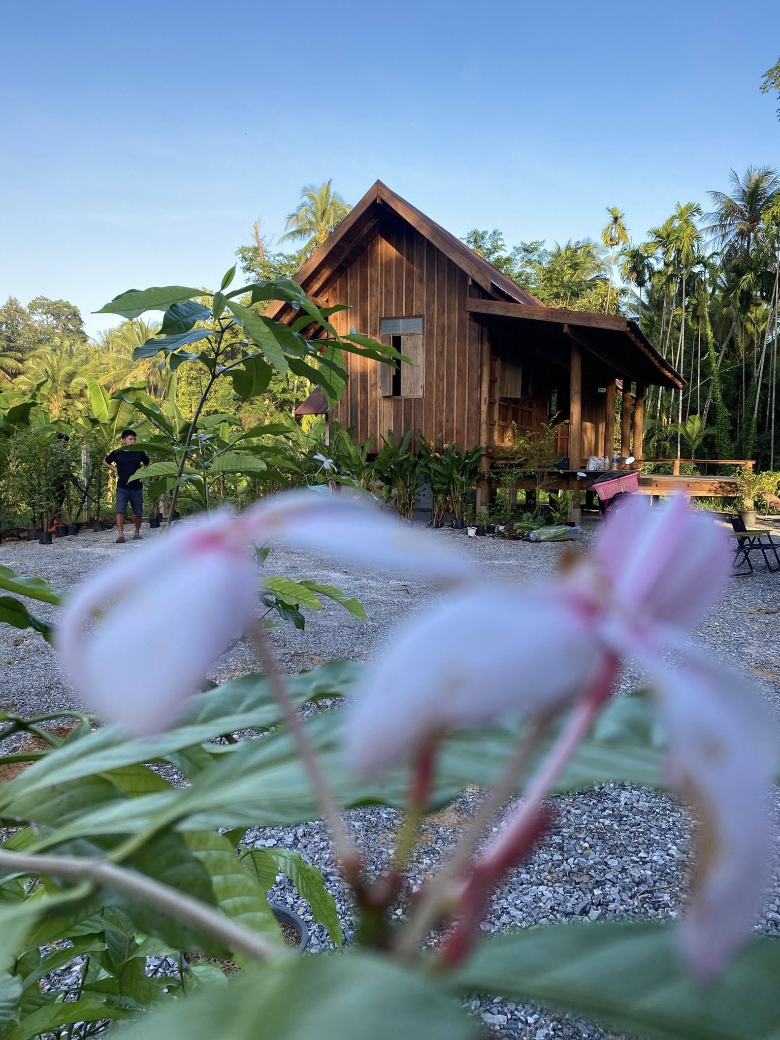 บ้านทดลองหลังจากเปลี่ยนUI - 5